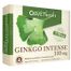 Avet Herbs Ginkgo Intense, 60 tabletek powlekanych - miniaturka 2 zdjęcia produktu