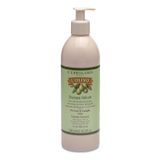 L'Erbolario L'Olivo, delikatny szampon do włosów dla całej rodziny, 500 ml USZKODZONE OPAKOWANIE - miniaturka zdjęcia produktu