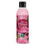 Barwa Naturalna, szampon z piwonią do włosów cienkich i matowych, nadający objętość, 300 ml - miniaturka zdjęcia produktu