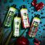 Eveline Cosmetics Bio Organic Aloes, szampon przeciw wypadaniu do włosów suchych i osłabionych, 400 ml - miniaturka 2 zdjęcia produktu