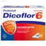 Dicoflor 6, dla dzieci od 3 lat i dorosłych, 20 kapsułek - miniaturka  zdjęcia produktu