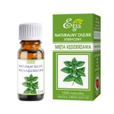 Etja, naturalny olejek eteryczny z mięty kędzierzawej, 10 ml - miniaturka zdjęcia produktu