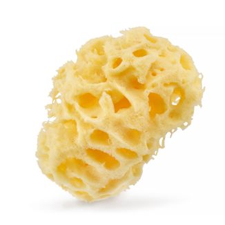 Hhuumm, naturalna gąbka morska do kąpieli, żółta, 04H, 9,5 cm - zdjęcie produktu