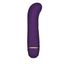 Rianne S Mini G Floral Deep Purple, wibrujący masażer i stymulator punktu G, fioletowy, 1 sztuka - miniaturka 3 zdjęcia produktu