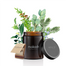 Mokosh, roślinna świeca sojowa, Jodłowy bór, 140 g - miniaturka 2 zdjęcia produktu