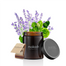 Mokosh, roślinna świeca sojowa, Sielska łąka, 140 g - miniaturka 2 zdjęcia produktu