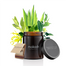 Mokosh, roślinna świeca sojowa, Śródziemnomorski gaj, 140 g - miniaturka 2 zdjęcia produktu
