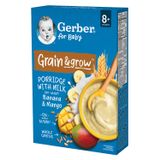 Gerber Grain & Grow Kaszka owsiano-pszenna, banan, mango, mleczna, bez dodatku cukru, po 8 miesiącu, 200 g USZKODZONE OPAKOWANIE - miniaturka zdjęcia produktu