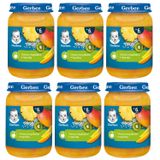 Zestaw Gerber Deser, owoce tropikalne z tapioką, po 6 miesiącu, 6 x 190 g - miniaturka zdjęcia produktu