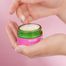 Weleda, wygładzający krem na dzień z dziką różą i białą herbatą, 40 ml - miniaturka 2 zdjęcia produktu