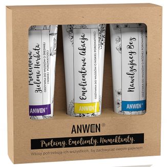 Zestaw Anwen, odżywki do włosów o niskiej porowatości, 3 x 100 ml KRÓTKA DATA - zdjęcie produktu
