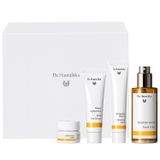 Zestaw Dr. Hauschka Beautiful Face, tonik odświeżający, 100 ml + krem z róży na dzień, 30 ml + balsam do mycia twarzy, 75 ml + balsam do ust w słoiczku, 4,5 ml - miniaturka zdjęcia produktu