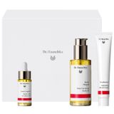 Zestaw Dr. Hauschka Beautiful body, nawilżający krem do rąk, 50 ml + olejek pielęgnacyjny do ciała, 75 ml + olejek do paznokci, 18 ml USZKODZONE OPAKOWANIE - miniaturka zdjęcia produktu