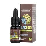 Skoczylas Lactrio, krople, 10 ml - miniaturka zdjęcia produktu