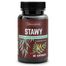 Skoczylas Stawy, kadzidłowiec, wierzba, ashwagandha, sosna, 60 kapsułek - miniaturka  zdjęcia produktu