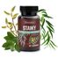 Skoczylas Stawy, kadzidłowiec, wierzba, ashwagandha, sosna, 60 kapsułek - miniaturka 2 zdjęcia produktu