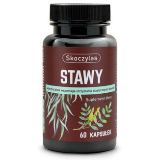 Skoczylas Stawy, kadzidłowiec, wierzba, ashwagandha, sosna, 60 kapsułek - zdjęcie produktu