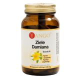 Yango Ziele Damiana, 90 kapsułek - miniaturka zdjęcia produktu