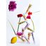 Roger & Gallet Rose, krem do rąk, 30 ml - miniaturka 2 zdjęcia produktu