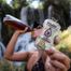 Bolero Ice Tea Passion, napój w proszku, 8 g - miniaturka 2 zdjęcia produktu