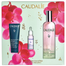 Caudalie Beauty Elixir, woda rozświetlająca, 100 ml + Vinoclean, maska detoksykująca, 15 ml i Vinoperfect serum, 10 ml w prezencie - miniaturka  zdjęcia produktu