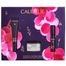 Zestaw Premier Cru Xmas 2025, krem pod oczy, 15 ml + serum do twarzy, 10 ml w prezencie + krem do twarzy, 15 ml w prezencie - miniaturka  zdjęcia produktu
