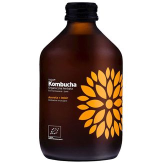 Vigo, kombucha Bio Acerola + Imbir, 330 ml - zdjęcie produktu