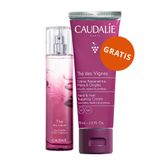 Caudalie The des Vignes, orzeźwiająca woda, 50 ml + regenerujący krem do rąk i paznokci, 75 ml gratis Caudalie The des Vignes, orzeźwiająca woda, 50 ml + regenerujący krem do rąk i paznokci, 75 ml gratis - miniaturka zdjęcia produktu