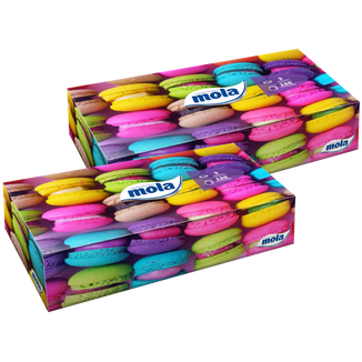Zestaw Mola Big Box, chusteczki higieniczne, pudełko, 2 x 120 sztuk - zdjęcie produktu