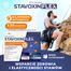 Domowa Apteczka Kolagen Stavoxin Flex, 30 saszetek - miniaturka 2 zdjęcia produktu