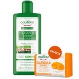 Equilibra Tricologica, naprawczy szampon restrukturyzujący, 300 ml + mydło nagietkowe, 100 g gratis - miniaturka zdjęcia produktu
