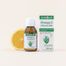 Norsan Omega-3 Vegan EPA, 100 ml - 2 Norsan Omega-3 Vegan EPA, 100 ml - miniaturka 2 zdjęcia produktu