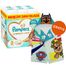 Pampers Premium Care 3 (6-10 kg), pieluchy, 180 sztuk + ręcznik-pelerynka Psi Patrol gratis - miniaturka  zdjęcia produktu