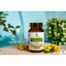 My Herbs Herbs Liposomalny Różeniec Górski, 60 kapsułek - 2 My Herbs Herbs Liposomalny Różeniec Górski, 60 kapsułek - miniaturka 2 zdjęcia produktu
