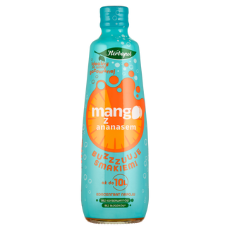 Herbapol Koncentrat napoju, mango z ananasem, 405 ml Herbapol Koncentrat napoju, mango z ananasem, 405 ml - zdjęcie produktu