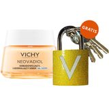 Vichy Neovadiol Kompleks Uzupełniający, odbudowujący, ujędrniający krem na dzień, skóra sucha, 50 ml + złota kłódka gratis - miniaturka zdjęcia produktu