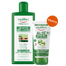 Equilibra Tricologica, wzmacniający szampon przeciw wypadaniu włosów, 300 ml + żel aloesowy multi-active, 50 ml gratis - 1 Equilibra Tricologica, wzmacniający szampon przeciw wypadaniu włosów, 300 ml + żel aloesowy multi-active, 50 ml gratis - miniaturka zdjęcia produktu