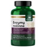Dr Ewa Dąbrowska Roślinne enzymy trawienne, 60 kapsułek - miniaturka zdjęcia produktu