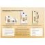 Zestaw AA Technologia Wieku 5 Repair 60+, krem na dzień, 50 ml + krem na noc, 50 ml + krem po oczy, 15 ml - miniaturka 3 zdjęcia produktu