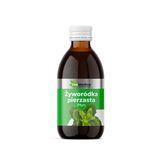 EkaMedica Żyworódka pierzasta, 250 ml - miniaturka zdjęcia produktu