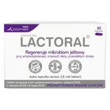 Lactoral, 30 kapsułek - miniaturka zdjęcia produktu