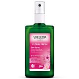 Weleda Wild Rose, dezodorant w sprayu 24h, 100 ml - miniaturka zdjęcia produktu