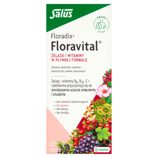 Floradix Floravital Żelazo i Witaminy, 250 ml Floradix Floravital Żelazo i Witaminy, 250 ml - zdjęcie produktu