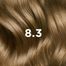 Phyto Color, farba do włosów, 8/3 złoty jasny blond, 50 ml - miniaturka 2 zdjęcia produktu