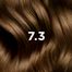 Phyto Color, farba do włosów, 7/3 złoty blond, 50 ml - miniaturka 2 zdjęcia produktu