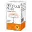 Propolis Plus, 100 tabletek - miniaturka  zdjęcia produktu