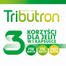Tributron, 30 kapsułek USZKODZONE OPAKOWANIE - 2 Tributron, 30 kapsułek USZKODZONE OPAKOWANIE - miniaturka 2 zdjęcia produktu