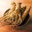 Medica Herbs Żeń-szeń właściwy (koreański) Forte, 60 kapsułek - 3 Medica Herbs Żeń-szeń właściwy (koreański) Forte, 60 kapsułek - miniaturka 3 zdjęcia produktu