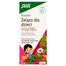 Floradix Żelazo dla dzieci, od 3 lat, 250 ml - miniaturka  zdjęcia produktu