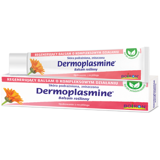 Dermoplasmine, regenerujący balsam roślinny, skóra podrażniona, zniszczona, 40 g KRÓTKA DATA - zdjęcie produktu